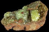 Gemmy, Yellow-Green Adamite Crystals - Durango, Mexico #88892-1